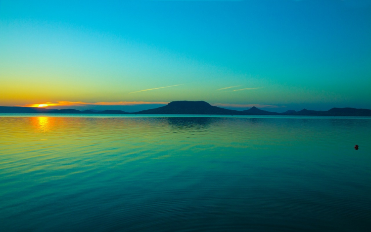 Algásodik a Balatonban